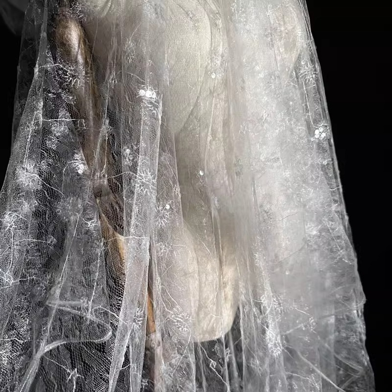 Tissu en maille à paillettes b - Embroidery Net Dress avis et prix
