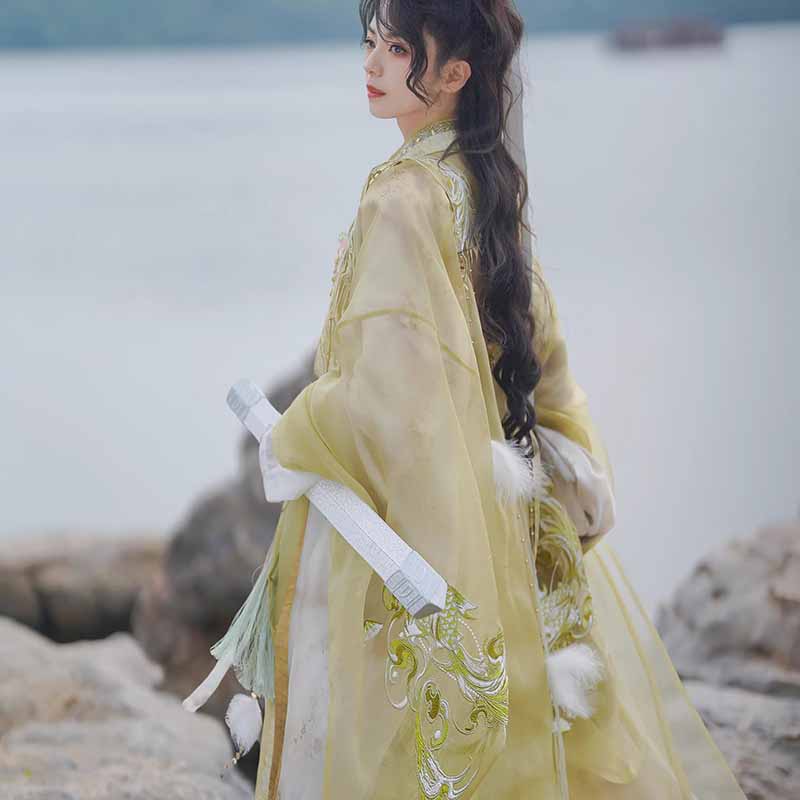 Tenue Hanfu de l'épée-femme Wu - Embroidery Outfit avis et prix